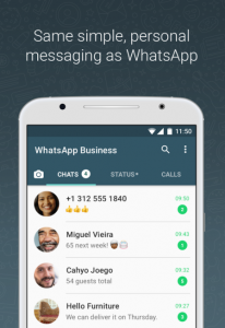 WhatsApp Business chat screen