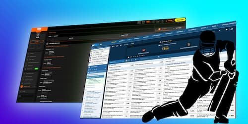 Online cricket betting