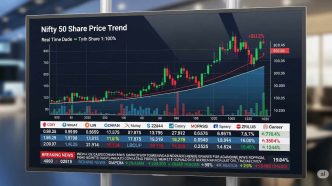 nifty-50-share-price-today:-market-rebounds-above-24600